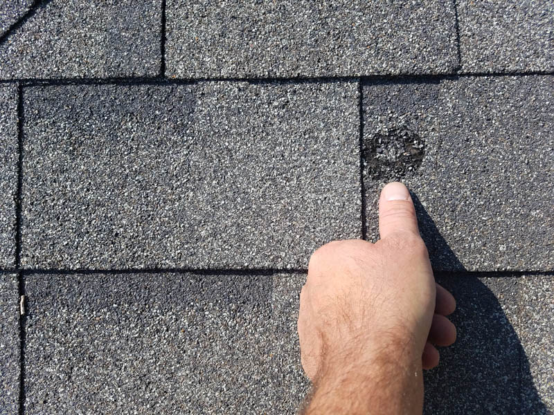 local roof inspection