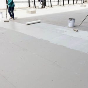 roof coating system in colorado